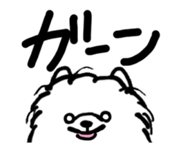 MY FLUFFY POMERANIAN sticker #3182559