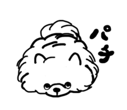 MY FLUFFY POMERANIAN sticker #3182568