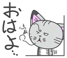 a kitten without name & house sticker #3185795