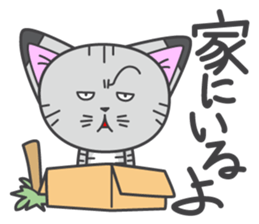 a kitten without name & house sticker #3185796