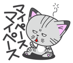 a kitten without name & house sticker #3185797