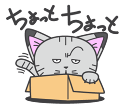 a kitten without name & house sticker #3185799