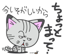 a kitten without name & house sticker #3185803