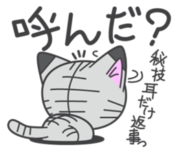 a kitten without name & house sticker #3185804