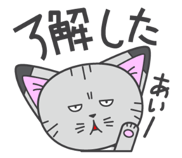 a kitten without name & house sticker #3185805