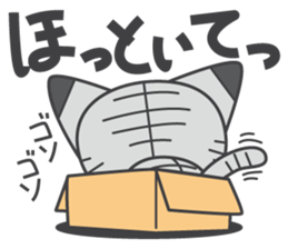 a kitten without name & house sticker #3185807