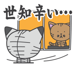 a kitten without name & house sticker #3185812