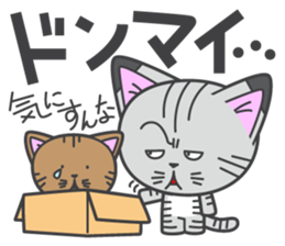 a kitten without name & house sticker #3185813