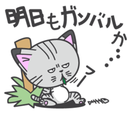 a kitten without name & house sticker #3185816