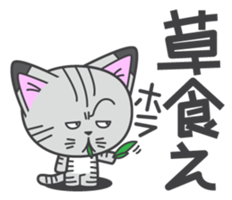 a kitten without name & house sticker #3185817