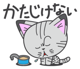 a kitten without name & house sticker #3185824