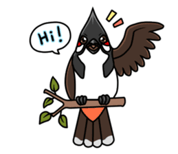 Red-whiskered bulbul bird sticker #3185955
