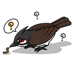 Red-whiskered bulbul bird sticker #3185956