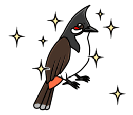 Red-whiskered bulbul bird sticker #3185958