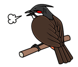 Red-whiskered bulbul bird sticker #3185959