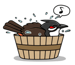 Red-whiskered bulbul bird sticker #3185962
