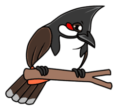 Red-whiskered bulbul bird sticker #3185964