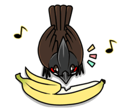 Red-whiskered bulbul bird sticker #3185967