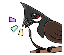 Red-whiskered bulbul bird sticker #3185972