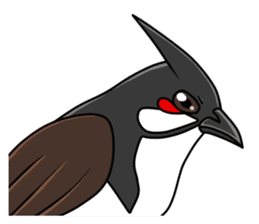 Red-whiskered bulbul bird sticker #3185976