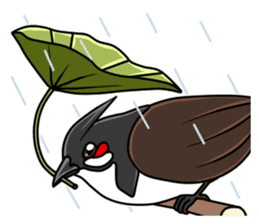 Red-whiskered bulbul bird sticker #3185979