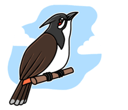 Red-whiskered bulbul bird sticker #3185981