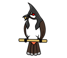 Red-whiskered bulbul bird sticker #3185982