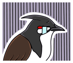 Red-whiskered bulbul bird sticker #3185985