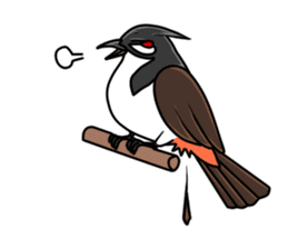 Red-whiskered bulbul bird sticker #3185988