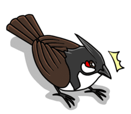 Red-whiskered bulbul bird sticker #3185989