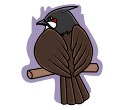 Red-whiskered bulbul bird sticker #3185993