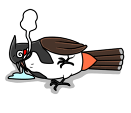 Red-whiskered bulbul bird sticker #3185994