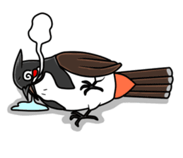Red-whiskered bulbul bird sticker #3185994