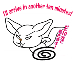 SHIRO and ORANGE of the fennec fox sticker #3190951
