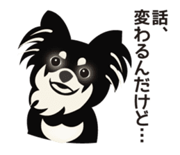 Uri Black Tan Chihuahua sticker #3191651