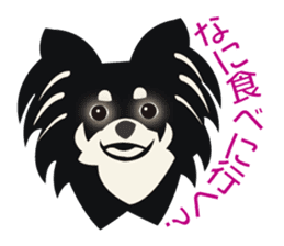 Uri Black Tan Chihuahua sticker #3191652