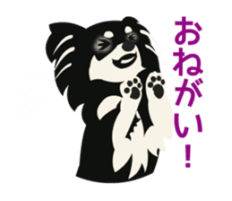 Uri Black Tan Chihuahua sticker #3191655