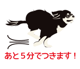 Uri Black Tan Chihuahua sticker #3191659