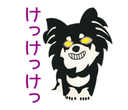Uri Black Tan Chihuahua sticker #3191662