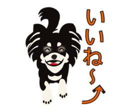 Uri Black Tan Chihuahua sticker #3191663