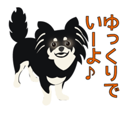 Uri Black Tan Chihuahua sticker #3191664
