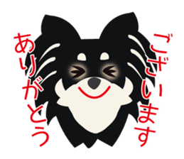Uri Black Tan Chihuahua sticker #3191668