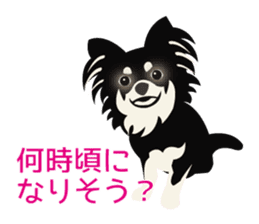 Uri Black Tan Chihuahua sticker #3191670