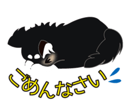 Uri Black Tan Chihuahua sticker #3191674