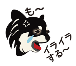 Uri Black Tan Chihuahua sticker #3191682