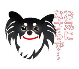 Uri Black Tan Chihuahua sticker #3191685