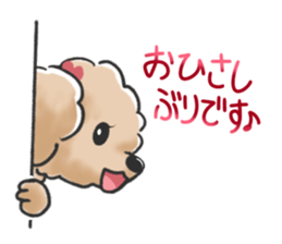 Honorific poodle sticker #3192219