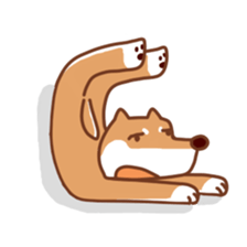 Cute face Animals sticker #3193129