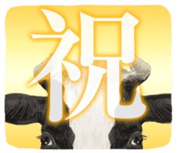 Farm animals enjoy all season events! sticker #3197453