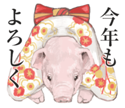 Farm animals enjoy all season events! sticker #3197457